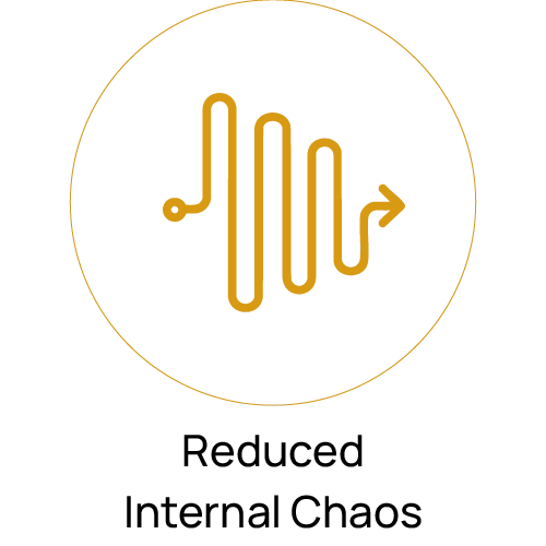 Reduced Internal Chaos (1)